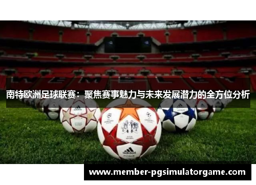 南特欧洲足球联赛：聚焦赛事魅力与未来发展潜力的全方位分析