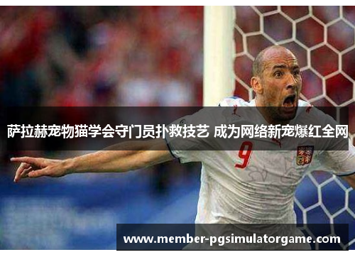 萨拉赫宠物猫学会守门员扑救技艺 成为网络新宠爆红全网