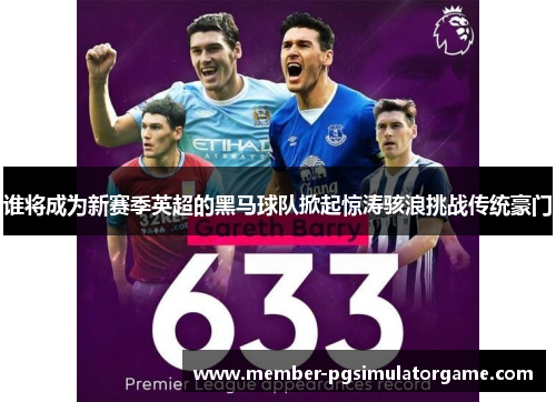 谁将成为新赛季英超的黑马球队掀起惊涛骇浪挑战传统豪门