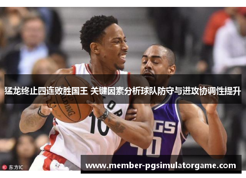 猛龙终止四连败胜国王 关键因素分析球队防守与进攻协调性提升