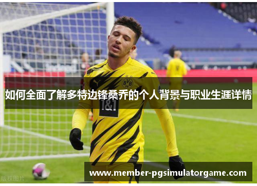 如何全面了解多特边锋桑乔的个人背景与职业生涯详情