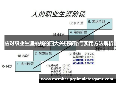 应对职业生涯挑战的四大关键策略与实用方法解析
