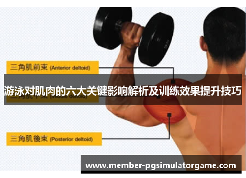 游泳对肌肉的六大关键影响解析及训练效果提升技巧