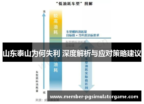 山东泰山为何失利 深度解析与应对策略建议