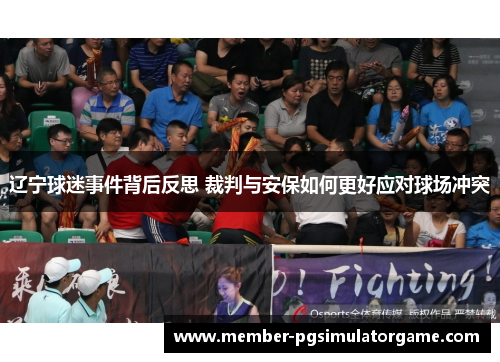 辽宁球迷事件背后反思 裁判与安保如何更好应对球场冲突