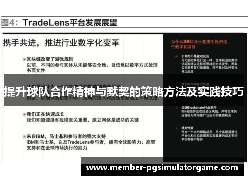 提升球队合作精神与默契的策略方法及实践技巧