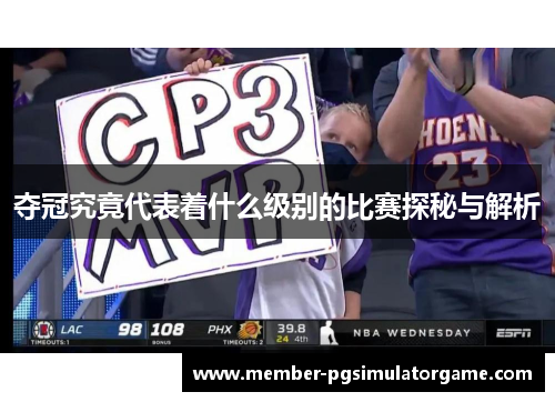 夺冠究竟代表着什么级别的比赛探秘与解析