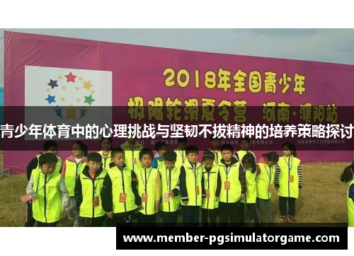 青少年体育中的心理挑战与坚韧不拔精神的培养策略探讨