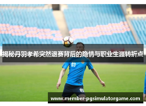 揭秘丹羽孝希突然退赛背后的隐情与职业生涯转折点