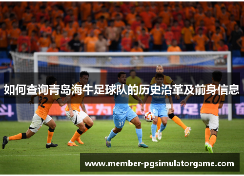 如何查询青岛海牛足球队的历史沿革及前身信息
