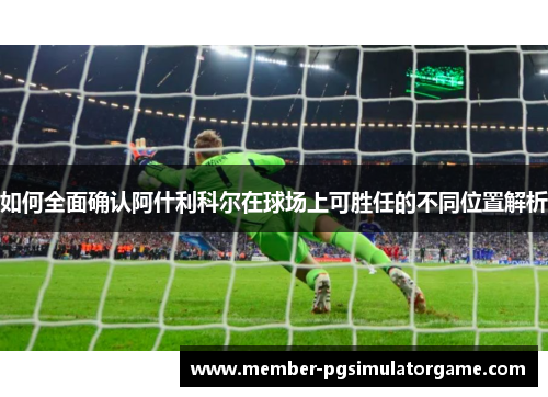 如何全面确认阿什利科尔在球场上可胜任的不同位置解析