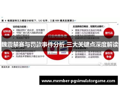 魏震禁赛与罚款事件分析 三大关键点深度解读