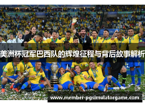 美洲杯冠军巴西队的辉煌征程与背后故事解析