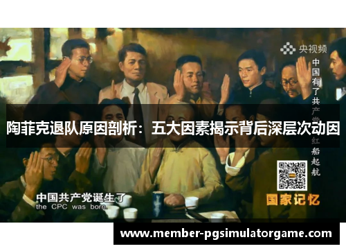 陶菲克退队原因剖析：五大因素揭示背后深层次动因