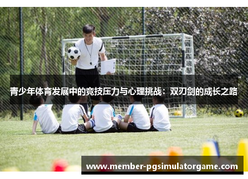 青少年体育发展中的竞技压力与心理挑战：双刃剑的成长之路
