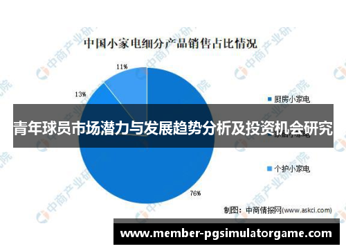 青年球员市场潜力与发展趋势分析及投资机会研究