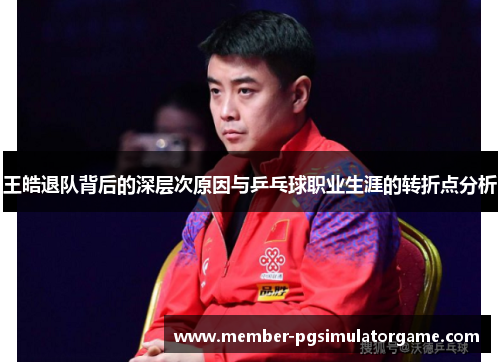 王皓退队背后的深层次原因与乒乓球职业生涯的转折点分析